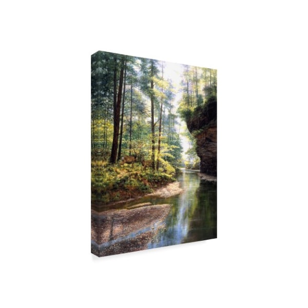 Bill Makinson 'Quiet Forest' Canvas Art,35x47